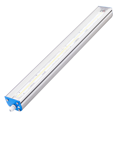 Chłodnie i mroźnie CSL - only the lamp