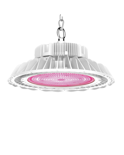 Cultivation of vegetables and fruits Hori - only the lamp