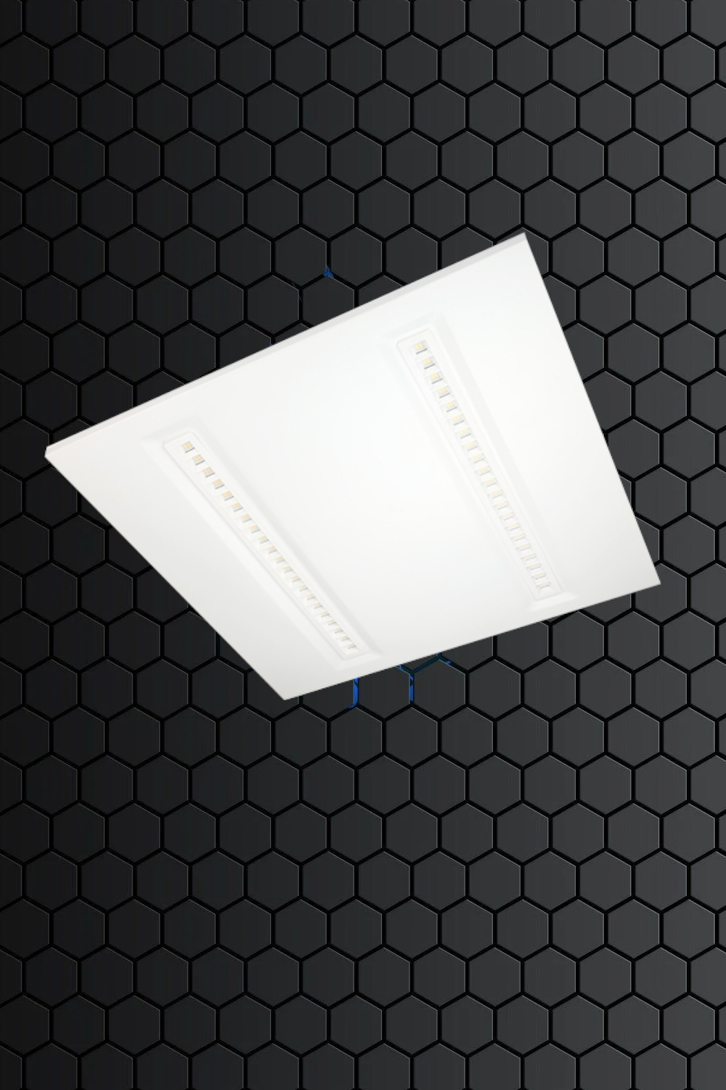 Panel ALL19 - cover