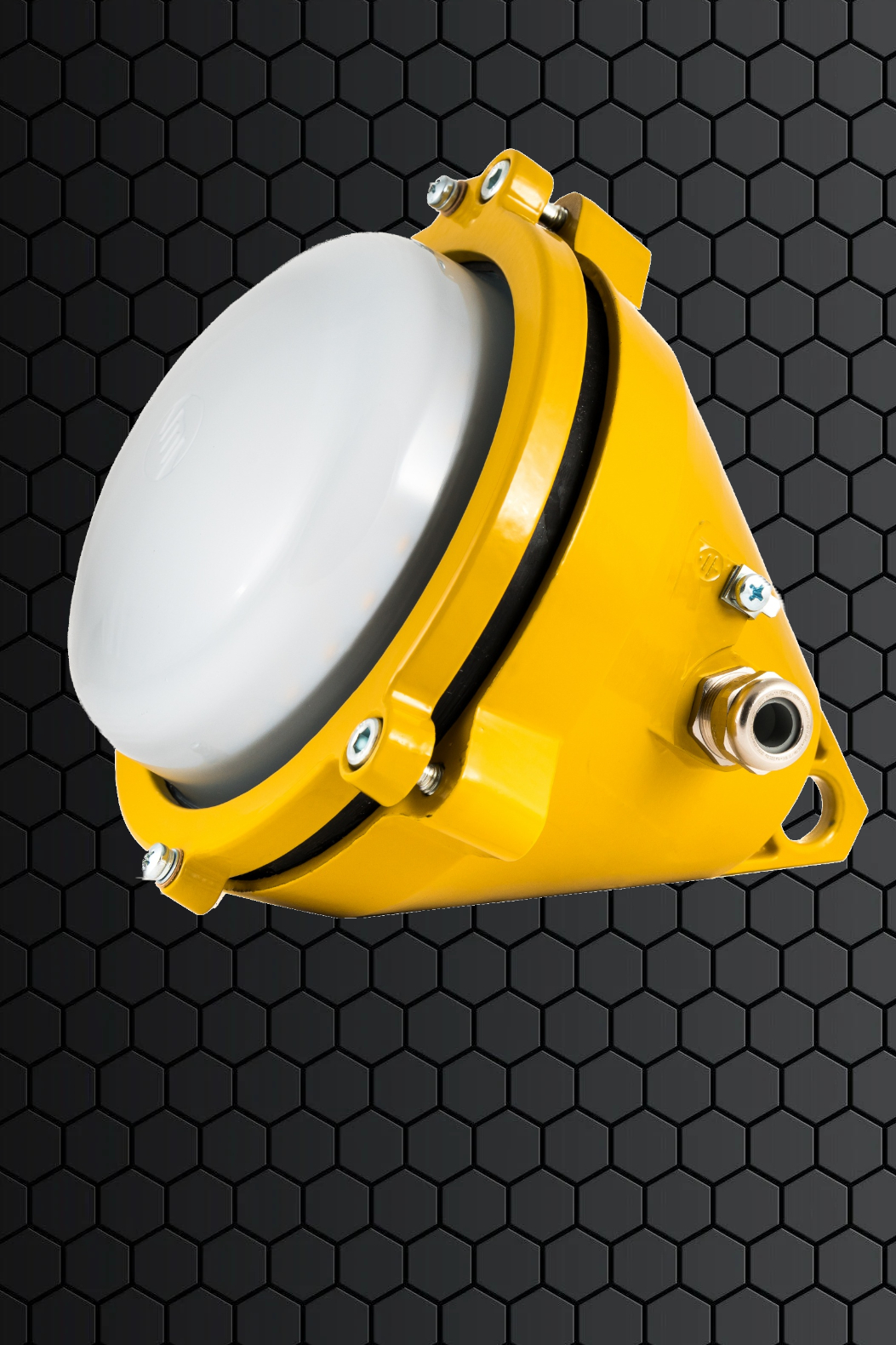 EX-ERIS - cover