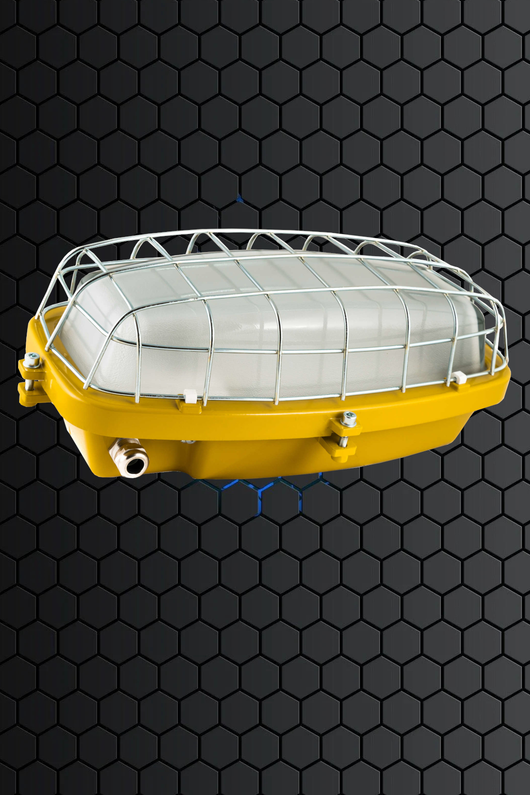 EX-MULTISAFE - cover
