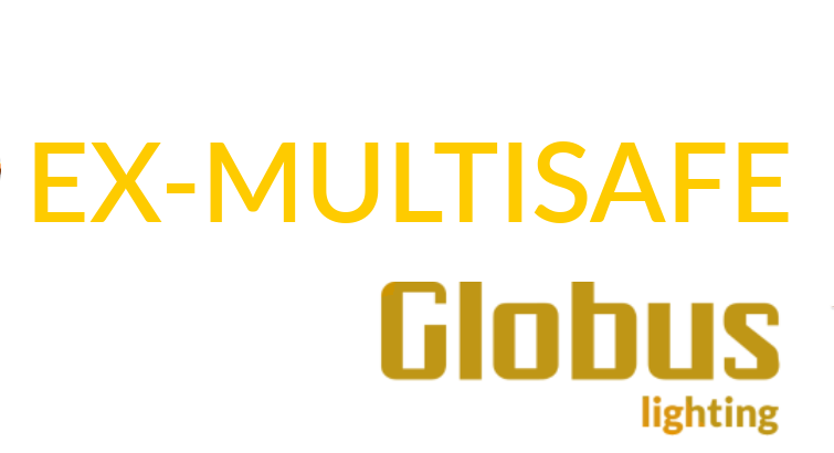 EX-MULTISAFE - title