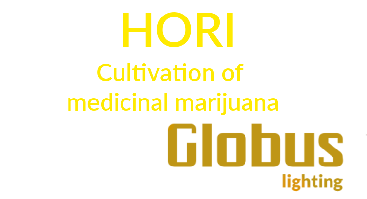 Cultivation of medicinal marijuana Hori - title
